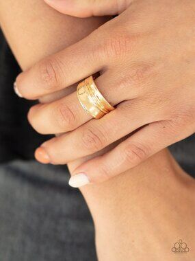 Paparazzi Ring (R245)